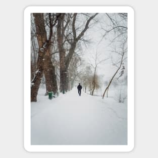 wandering the snowy park Sticker